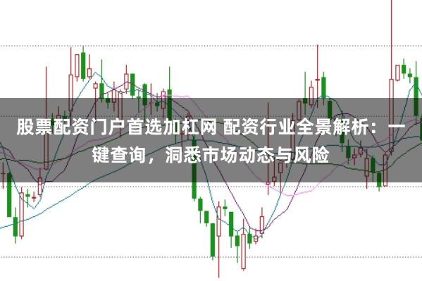股票配资门户首选加杠网 配资行业全景解析：一键查询，洞悉市场动态与风险