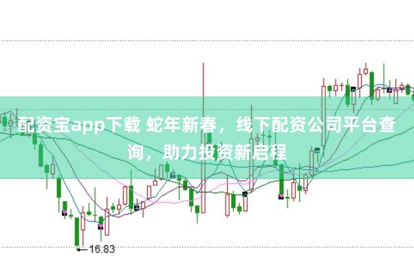 配资宝app下载 蛇年新春，线下配资公司平台查询，助力投资新启程