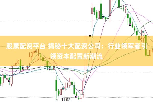 股票配资平台 揭秘十大配资公司：行业领军者引领资本配置新潮流