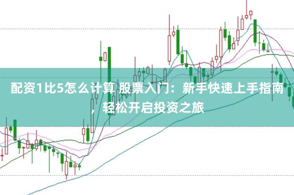 配资1比5怎么计算 股票入门：新手快速上手指南，轻松开启投资之旅