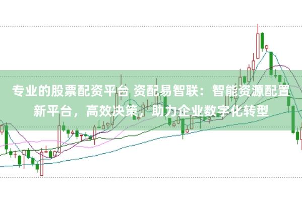 专业的股票配资平台 资配易智联：智能资源配置新平台，高效决策，助力企业数字化转型