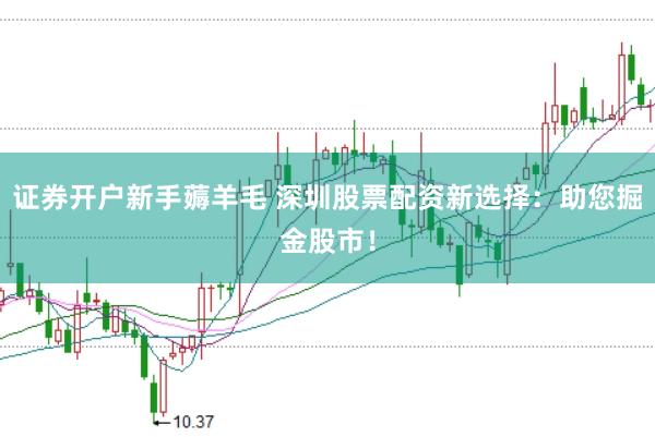 证券开户新手薅羊毛 深圳股票配资新选择：助您掘金股市！